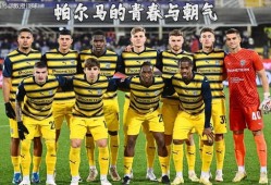 多米APP下载-帕尔马对乌迪内斯的比分预测